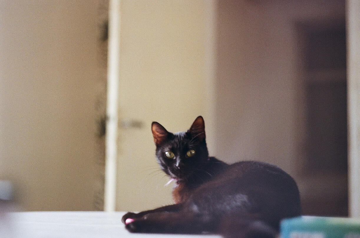 Untitled Untitled